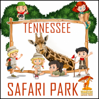 Tennessee Safari Park Walk and Drive Zoo