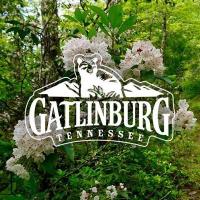 Enjoy Tennessee Life in Gatlinburg!